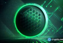 Aptos se dispara un 20% en 24 horas: ¡Descubre el interés abierto más alto en 6 meses! - Cripto Boom