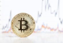 El precio de Bitcoin apunta a $88,000 para fin de año: ¿Estás listo para el gran salto? - Cripto Boom