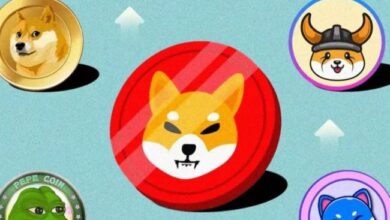 Las Mejores Monedas Meme con Temática de Gatos: Tendencias Calientes MOG y Más - ¡Descúbrelas Hoy! - Cripto Boom