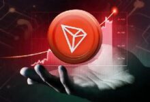 ¡Descubre cómo TRON Supera a BTC, ETH y XRP en Ingresos del Tercer Trimestre! - Cripto Boom