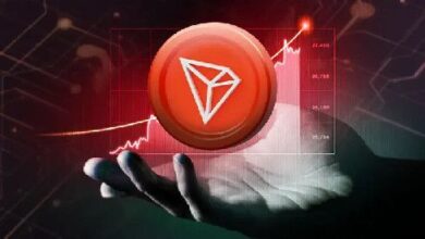 ¡Descubre cómo TRON Supera a BTC, ETH y XRP en Ingresos del Tercer Trimestre! - Cripto Boom