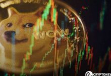 Dogecoin Supera Resistencia Clave y Rango Semanal: ¿Se Reaviva el Hype de DOGE? ¡Descúbrelo Ahora! - Cripto Boom