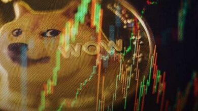 Dogecoin Supera Resistencia Clave y Rango Semanal: ¿Se Reaviva el Hype de DOGE? ¡Descúbrelo Ahora! - Cripto Boom