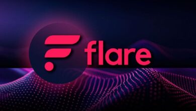 Flare Lanza Máquina Blockchain para Acelerar la Implementación de Nodos con Google Cloud: ¡Descubre Cómo! - Cripto Boom