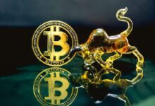 La Elección en EE.UU. Podría Impulsar el Precio de Bitcoin: Descubre el Movimiento Esperado por el Analista - Cripto Boom