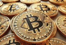 Minería de Bitcoin: Ionic Digital Reactiva su OPI y Anuncia Importantes Tenencias de BTC - Descubre Más Ahora - Cripto Boom