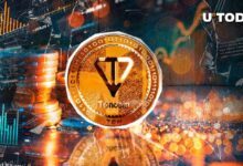 Toncoin Aumenta un 95% en Grandes Transacciones: ¿Cuál es el Futuro de TON? ¡Descúbrelo! - Cripto Boom