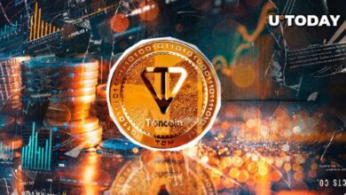 Toncoin Aumenta un 95% en Grandes Transacciones: ¿Cuál es el Futuro de TON? ¡Descúbrelo! - Cripto Boom