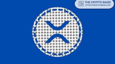 Google Retiene Datos de Precio de XRP tras Eliminar Bitcoin y Ethereum: Descubre Por Qué - Cripto Boom