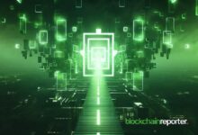 "ZNS Connect y The Plume Network Ofrecen ID Basada en Blockchain: Descubre Más" - Cripto Boom