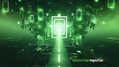 "ZNS Connect y The Plume Network Ofrecen ID Basada en Blockchain: Descubre Más" - Cripto Boom