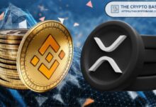 BNB Aumentó un 9,813% de 2020 a 2021; Descubre el Precio de XRP con un Repunte Similar - Cripto Boom