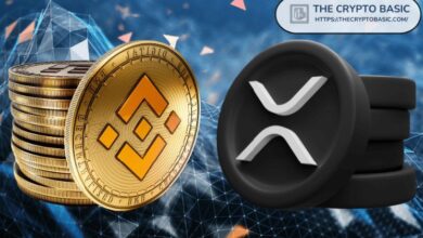 BNB Aumentó un 9,813% de 2020 a 2021; Descubre el Precio de XRP con un Repunte Similar - Cripto Boom