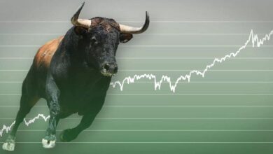 Empresa de Análisis Revela: ¡Descubre los Signos Alcistas Ocultos en Estos Dos Altcoins! - Cripto Boom