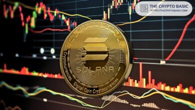 Analista Predice Rally del 2,500% para Solana a $4,500: ¡SOL Forma Patrón Alcista Cerca de $170! Descubre Más - Cripto Boom