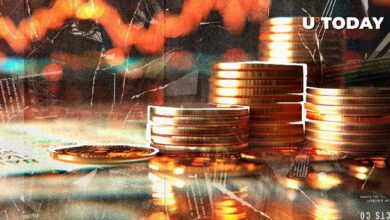 $138 Millones Eliminados del Mercado Cripto - ¿Qué Sucederá Ahora? Descúbrelo Aquí - Cripto Boom