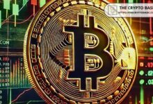 Bitcoin Aumenta en Liquidez: ¿Superará de Nuevo al NASDAQ y al Oro? ¡Descúbrelo Ahora! - Cripto Boom
