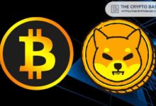 Descubre el Precio de Shiba Inu si Alcanza solo el 10% del Mercado de Bitcoin - Cripto Boom