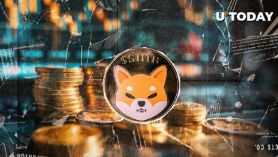 3,12 billones de Shiba Inu en 24 horas: ¿Vuelve SHIB con fuerza? - Cripto Boom