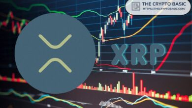 Gary Cardone Afirma que la Plataforma XRP es Ecológica y Está Lista para un Aumento Astronómico de Precio - Descubre Más - Cripto Boom