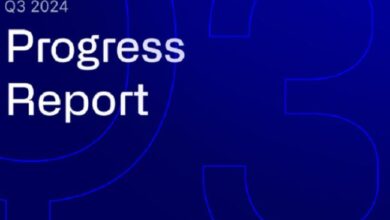Informe de Progreso del T3 2024: ¡Descubre las Novedades! - Cripto Boom