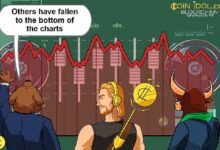 Análisis Semanal del Mercado de Criptomonedas: ¡Altcoins Caen a Niveles de Soporte Críticos! - Cripto Boom