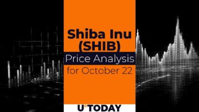 Predicción del Precio de SHIB para el 22 de Octubre: ¡Descubre las Tendencias! - Cripto Boom