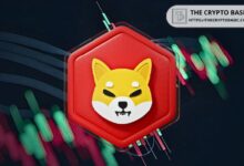 Analista Destacado Predice Rally de Regreso para Shiba Inu a $0.00004: ¡Descubre Más! - Cripto Boom