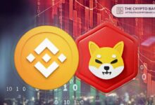 Binance Promociona Shiba Inu: La Comunidad Reacciona con Entusiasmo y Nuevas Exigencias. ¡Descubre Más! - Cripto Boom