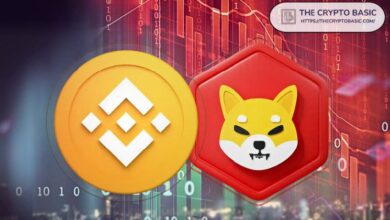 Binance Promociona Shiba Inu: La Comunidad Reacciona con Entusiasmo y Nuevas Exigencias. ¡Descubre Más! - Cripto Boom