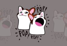 ¿POPCAT rumbo a $5? Murad destaca fundamentos sólidos y crecimiento potencial imperdible - Cripto Boom