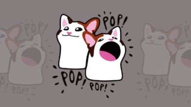 ¿POPCAT rumbo a $5? Murad destaca fundamentos sólidos y crecimiento potencial imperdible - Cripto Boom