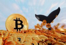 Ballena Gigante, que Acumuló $500 Millones en Bitcoin en los Últimos 4 Años, Toma Acción Tras el Aumento del Precio - Cripto Boom