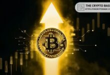 Macroeconomista Revela Plazo para que Bitcoin Pruebe el Máximo Histórico de $73K ¡Descúbrelo! - Cripto Boom