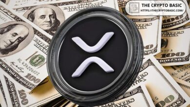 Experto Financiero Revela la ÚNICA Estrategia de Retiro con XRP que Necesitas ¡Descúbrela Ahora! - Cripto Boom