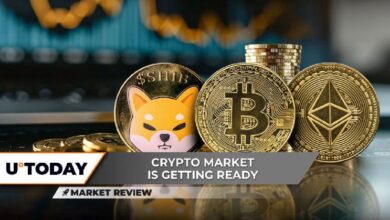 Este patrón de Shiba Inu (SHIB) invalidado; ¡Descubre cómo Bitcoin (BTC) asegura un nivel crítico de precio y la ardua lucha de Ethereum (ETH) en $2,400! - Cripto Boom