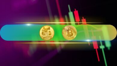 Bitcoin Alcanzó $69K, Aumento Semanal de Dogecoin Supera el 30% (¡Descubre Más!) - Cripto Boom