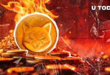 La Tasa de Quema de Shiba Inu se Dispara un 880% y Desaparecen 320 Millones de SHIB: Descubre Más - Cripto Boom