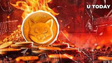 La Tasa de Quema de Shiba Inu se Dispara un 880% y Desaparecen 320 Millones de SHIB: Descubre Más - Cripto Boom