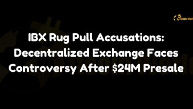 Acusaciones de Estafa en IBX: Controversia en el Exchange Descentralizado tras Preventa de $24M - ¡Descubre todos los detalles! - Cripto Boom