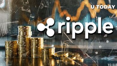 ¡Descubre cómo Ripple emite un colosal Stablecoin RLUSD de 4.5 millones en solo 24 horas! - Cripto Boom