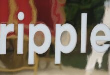 Ripple llega a Miami: ¿Dónde está el ejército XRP? ¡Descúbrelo aquí! - Cripto Boom