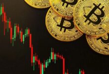 Santiment Revela la Métrica que Determina el “Pico” y el “Fondo” del Mercado de Criptomonedas: ¡Descubre Cómo Funciona! - Cripto Boom