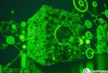 Estudio Revela: La Protección Revertida Aumenta la Eficiencia del Mercado Blockchain, Descúbrelo Aquí - Cripto Boom