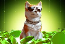 ¡Dogecoin (DOGE) Registra Primer Ingreso Neto en Días Mientras Crece el Impulso del Mercado! - Cripto Boom