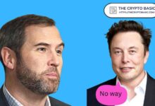 CEO de Ripple opina sobre Elon Musk al mencionar XRP: ¡Descubre más! - Cripto Boom