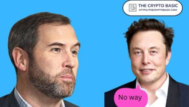 CEO de Ripple opina sobre Elon Musk al mencionar XRP: ¡Descubre más! - Cripto Boom