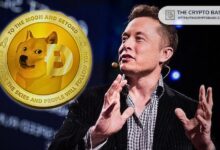 Elon Musk Revela su Atracción por Dogecoin: Amor por el Humor, Perros y Memes - Descubre Más - Cripto Boom