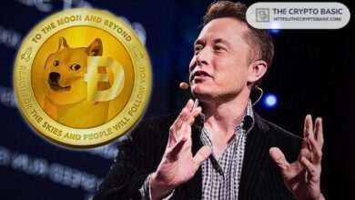 Elon Musk Revela su Atracción por Dogecoin: Amor por el Humor, Perros y Memes - Descubre Más - Cripto Boom