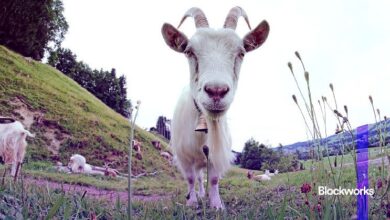 GOAT ya no es la mayor participación de Truth Terminal: Descubre qué cambió ahora - Cripto Boom